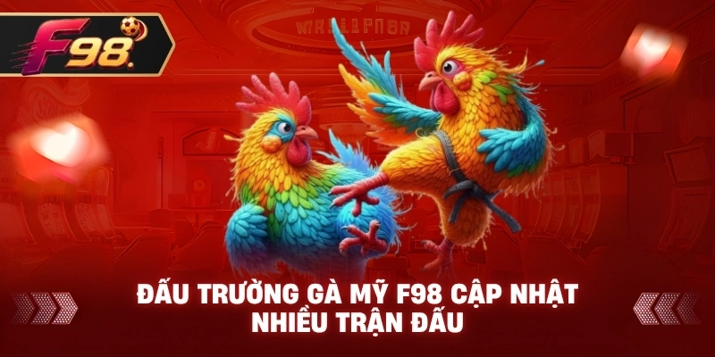 Đấu Trường Gà Mỹ F98 cập nhật nhiều trận đấu