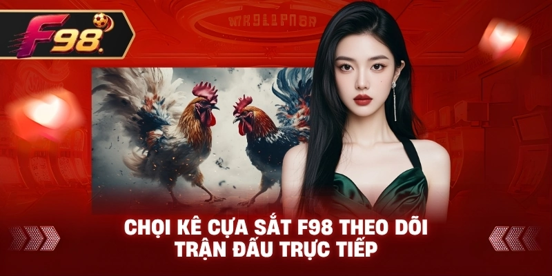 Chọi Kê Cựa Sắt F98 theo dõi trận đấu trực tiếp
