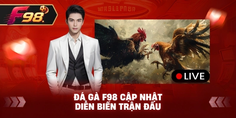 Đá Gà F98 cập nhật diễn biến trận đấu