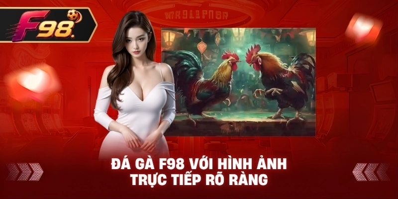 Đá Gà F98 với hình ảnh trực tiếp rõ ràng