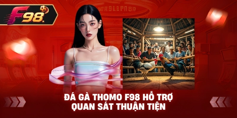 Đá Gà Thomo F98 hỗ trợ quan sát thuận tiện