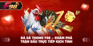 Đá Gà Thomo F98 – Khám phá trận đấu trực tiếp kịch tính