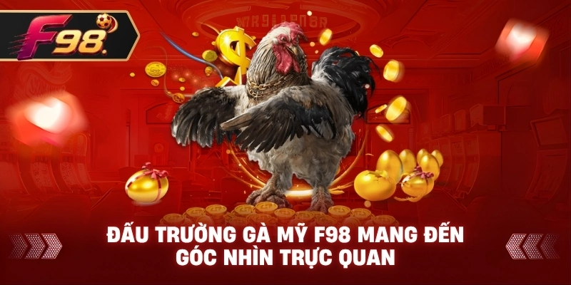 Đấu Trường Gà Mỹ F98 mang đến góc nhìn trực quan