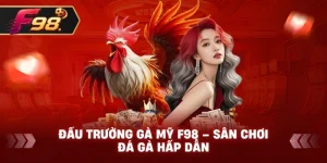 Đấu Trường Gà Mỹ F98 – Sân chơi đá gà hấp dẫn